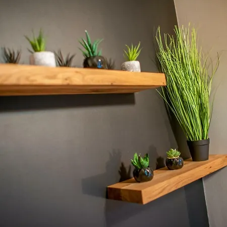 Green Wood Apartament